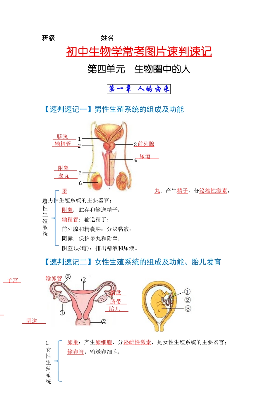 速判速记03   人的由来+人体的营养-【热图解读】中考生物常考图片速判速记（教师版）.docx_第1页