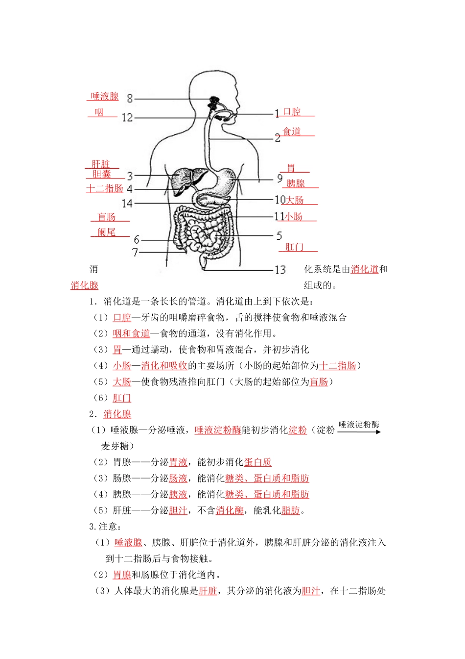 速判速记03   人的由来+人体的营养-【热图解读】中考生物常考图片速判速记（教师版）.docx_第3页