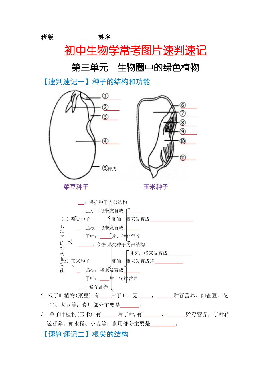 速判速记02   生物圈中的绿色植物-【热图解读】中考生物常考图片速判速记（学生版）.docx_第1页