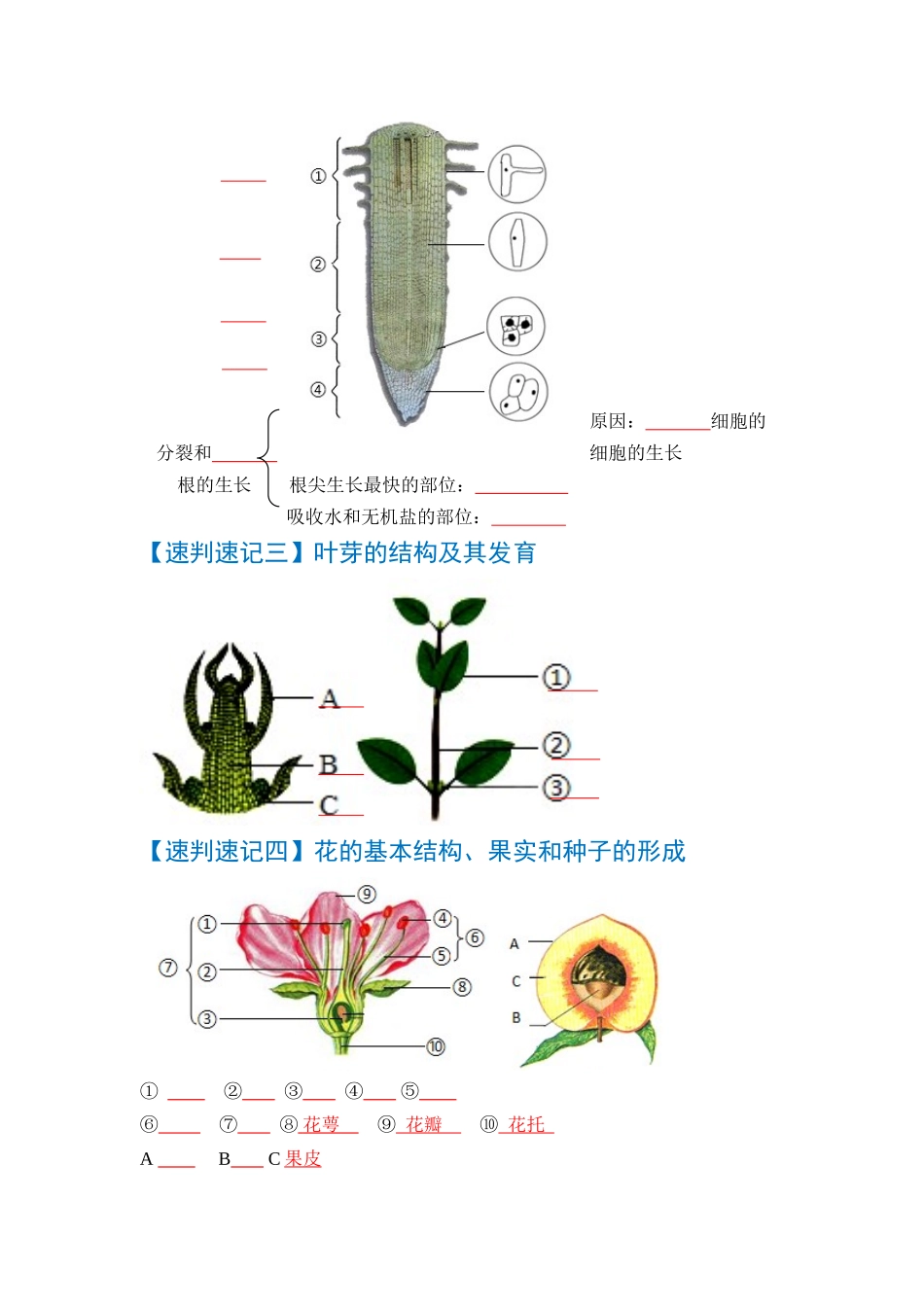 速判速记02   生物圈中的绿色植物-【热图解读】中考生物常考图片速判速记（学生版）.docx_第2页