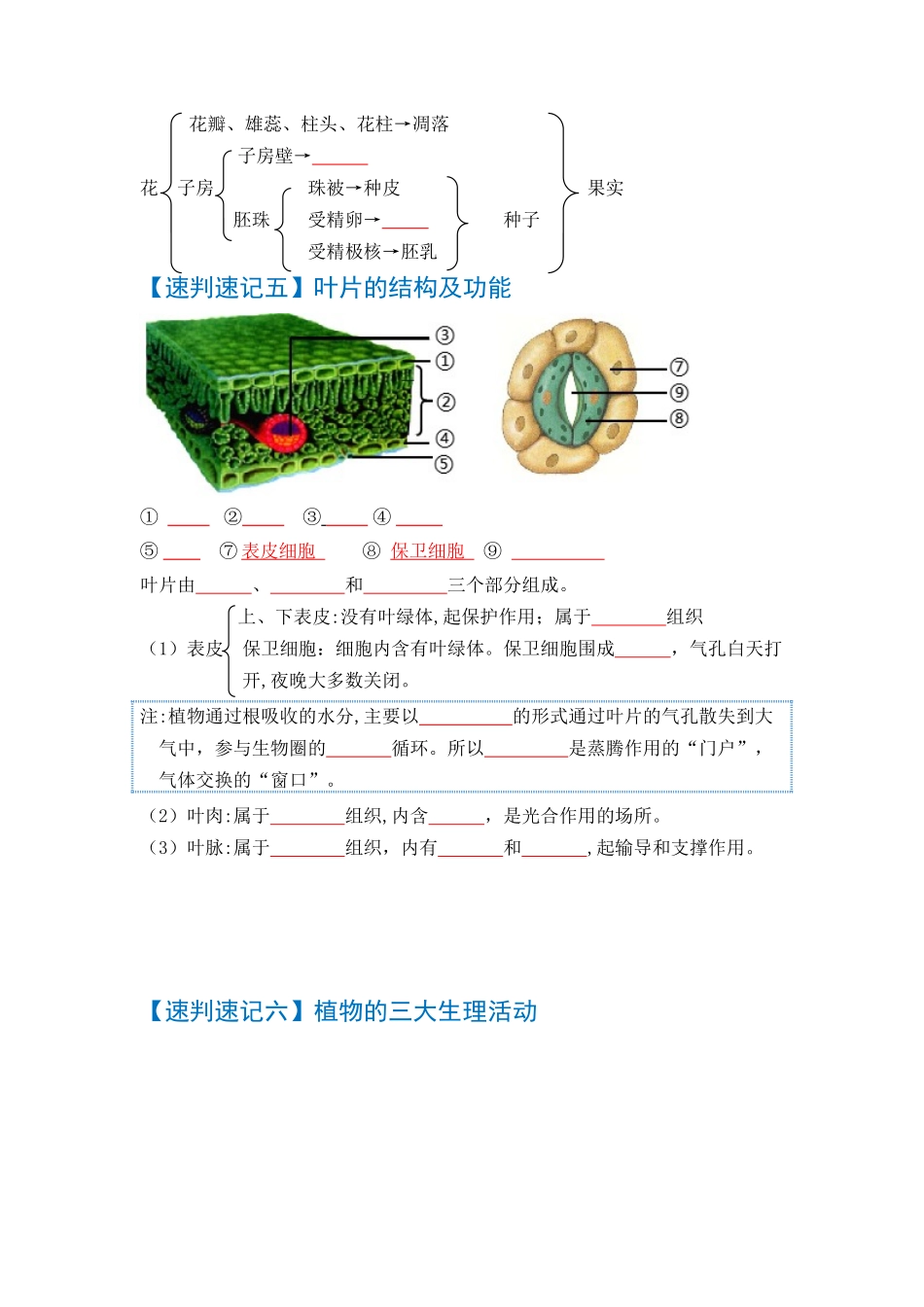 速判速记02   生物圈中的绿色植物-【热图解读】中考生物常考图片速判速记（学生版）.docx_第3页