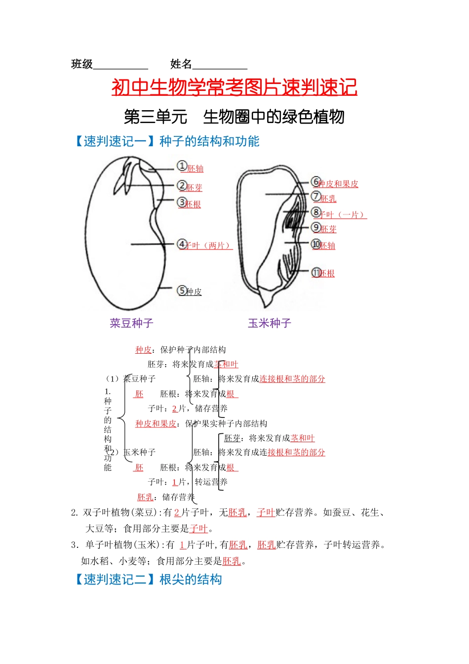 速判速记02   生物圈中的绿色植物-【热图解读】中考生物常考图片速判速记（教师版）.docx_第1页