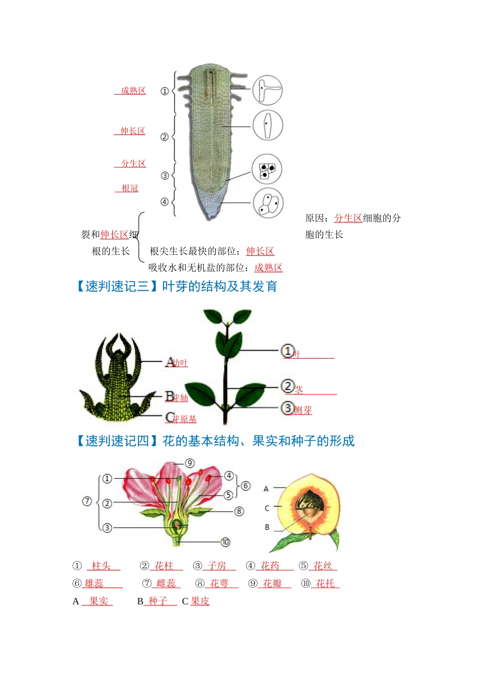 速判速记02   生物圈中的绿色植物-【热图解读】中考生物常考图片速判速记（教师版）.docx_第2页