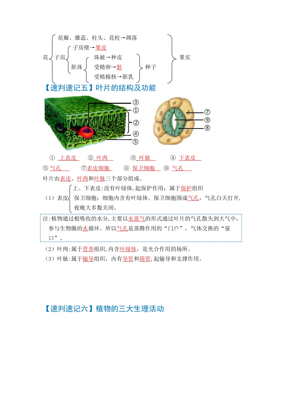 速判速记02   生物圈中的绿色植物-【热图解读】中考生物常考图片速判速记（教师版）.docx_第3页