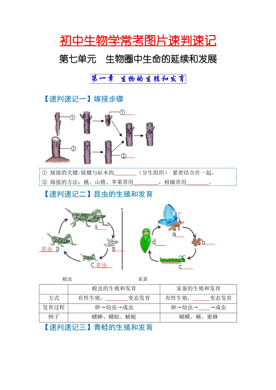 速判速记08  生物圈中生命的延续和发展+健康的生活-【热图解读】中考生物常考图片速判速记（学生版）  (1).docx_第1页