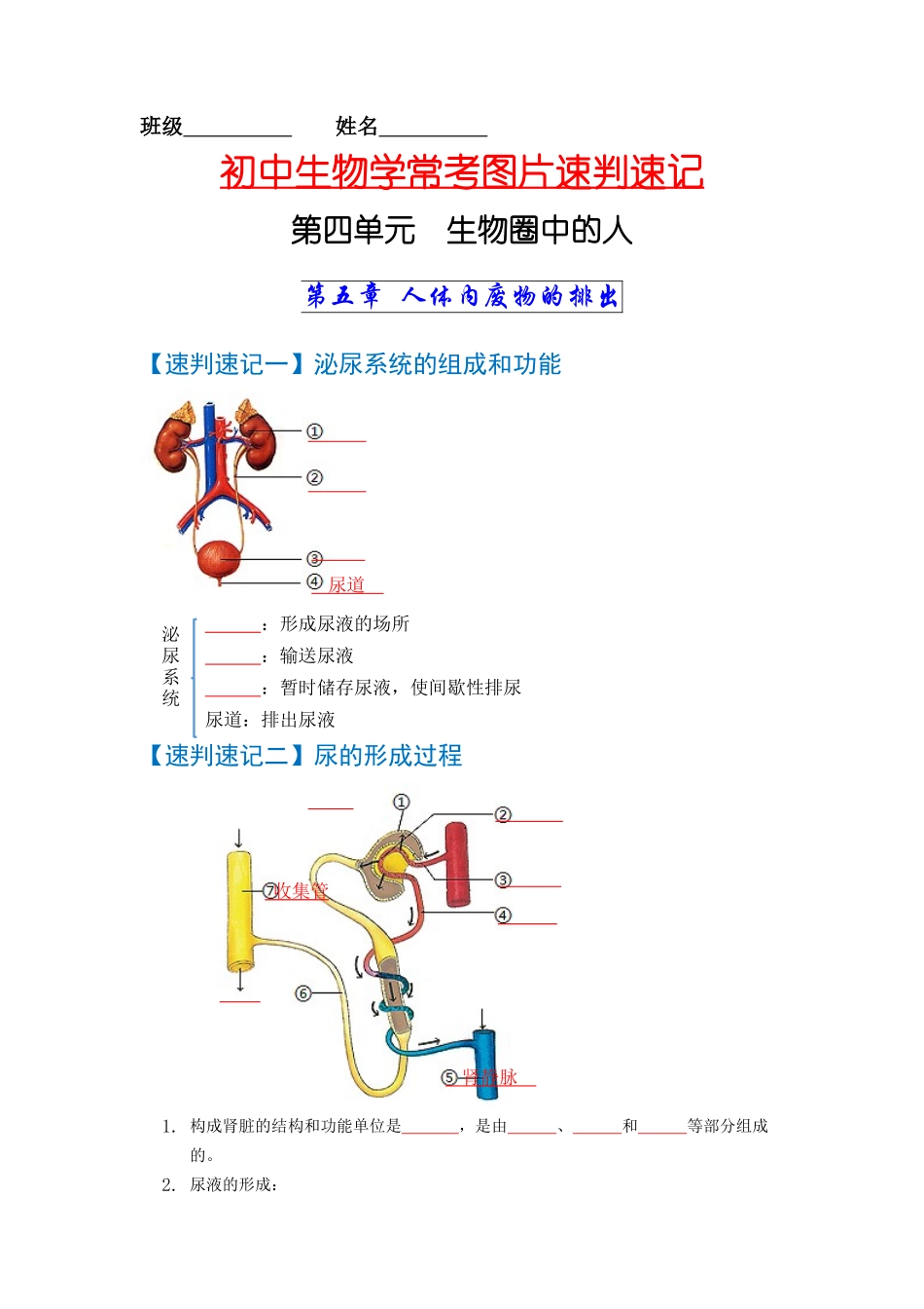 速判速记05  人体内废物的排出+人体生命活动的调节-【热图解读】中考生物常考图片速判速记（学生版） (1).docx_第1页