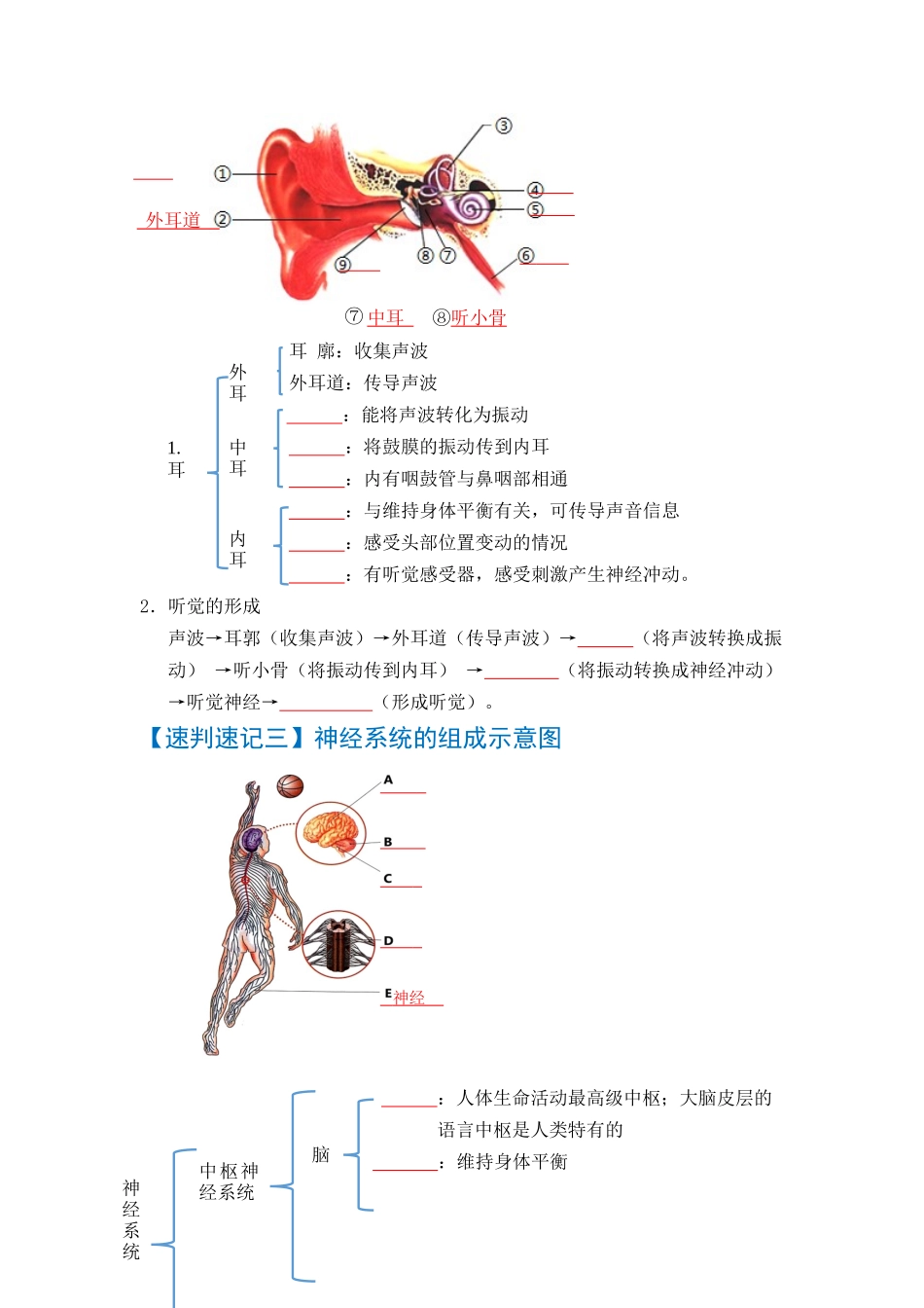 速判速记05  人体内废物的排出+人体生命活动的调节-【热图解读】中考生物常考图片速判速记（学生版） (1).docx_第3页