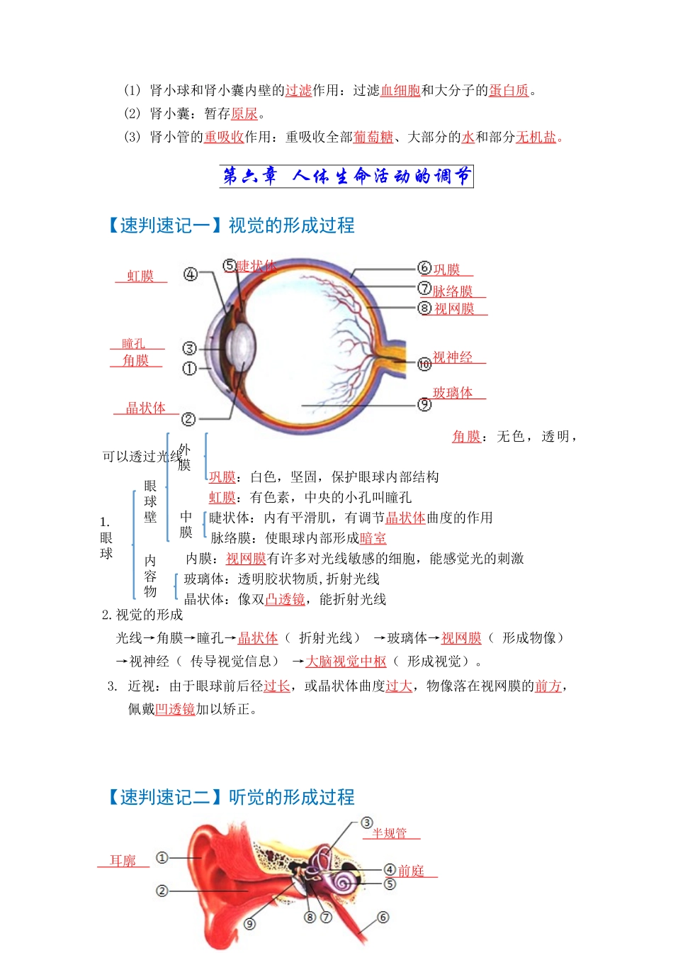 速判速记05  人体内废物的排出+人体生命活动的调节-【热图解读】中考生物常考图片速判速记（教师版） (1).docx_第2页