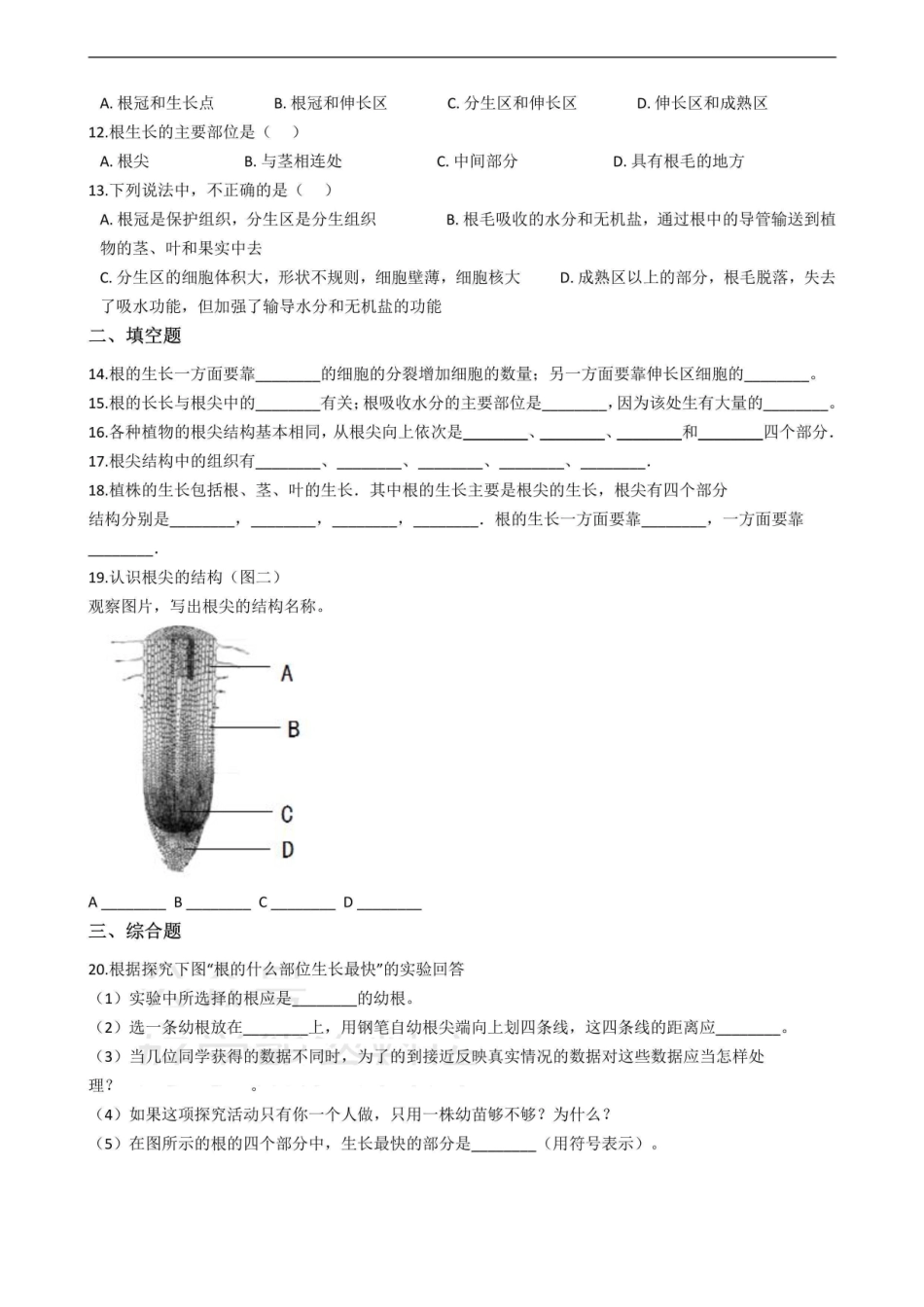 冀少版八年级上册生物 根的吸收 单元测试（含解析）_八年级上册_八年级上册.pdf_第2页