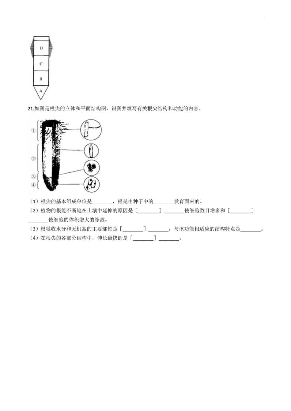 冀少版八年级上册生物 根的吸收 单元测试（含解析）_八年级上册_八年级上册.pdf_第3页