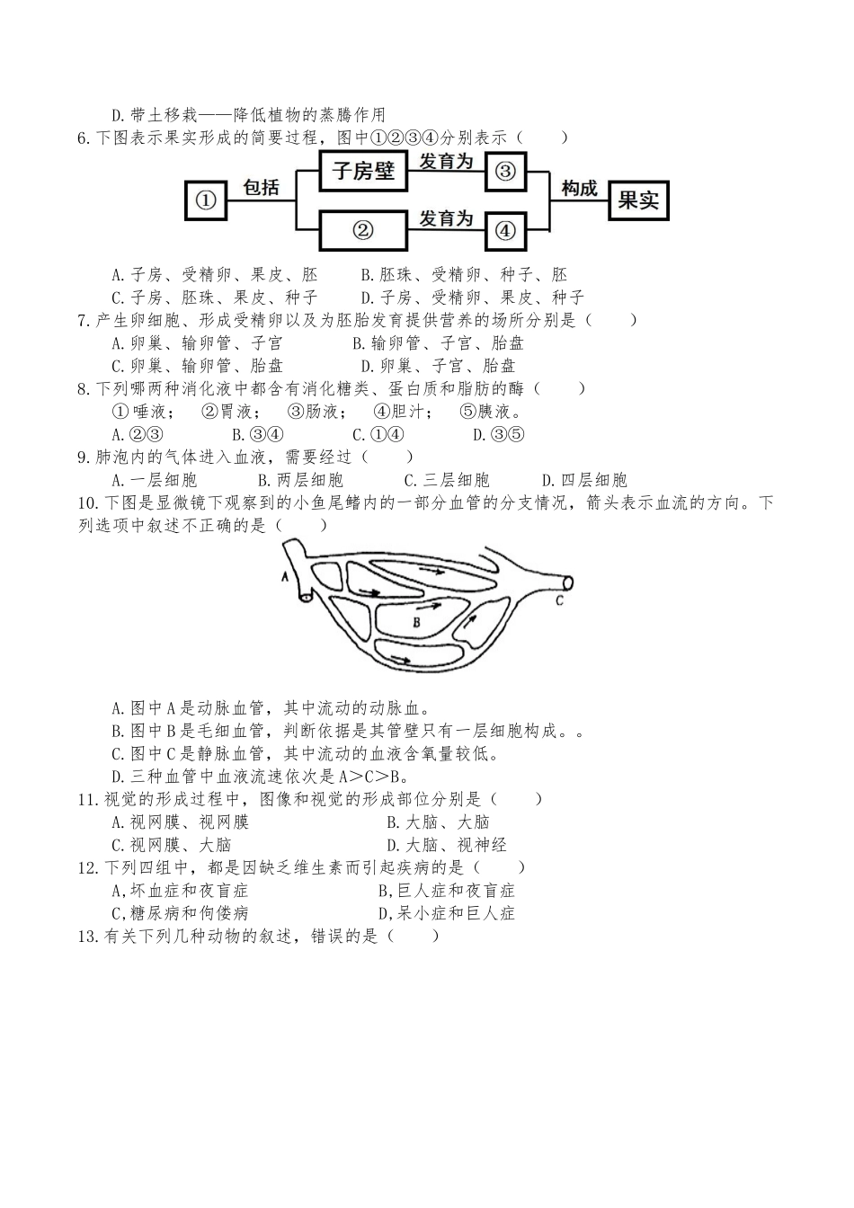 武汉卷【考试版】.docx_第2页