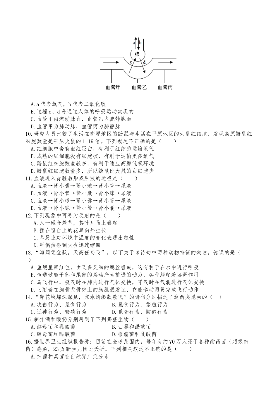 武汉卷（考试版）.docx_第3页