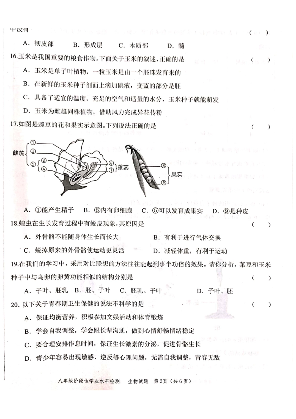 2023-2024学年度上学期八年级生物试题_八年级上册_八年级上册.pdf_第3页