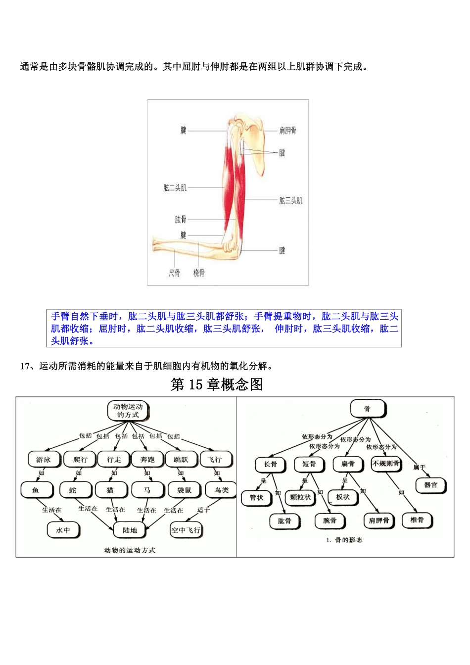 北师大版生物八年级上册知识点总结_八年级上册_八年级上册.pdf_第3页