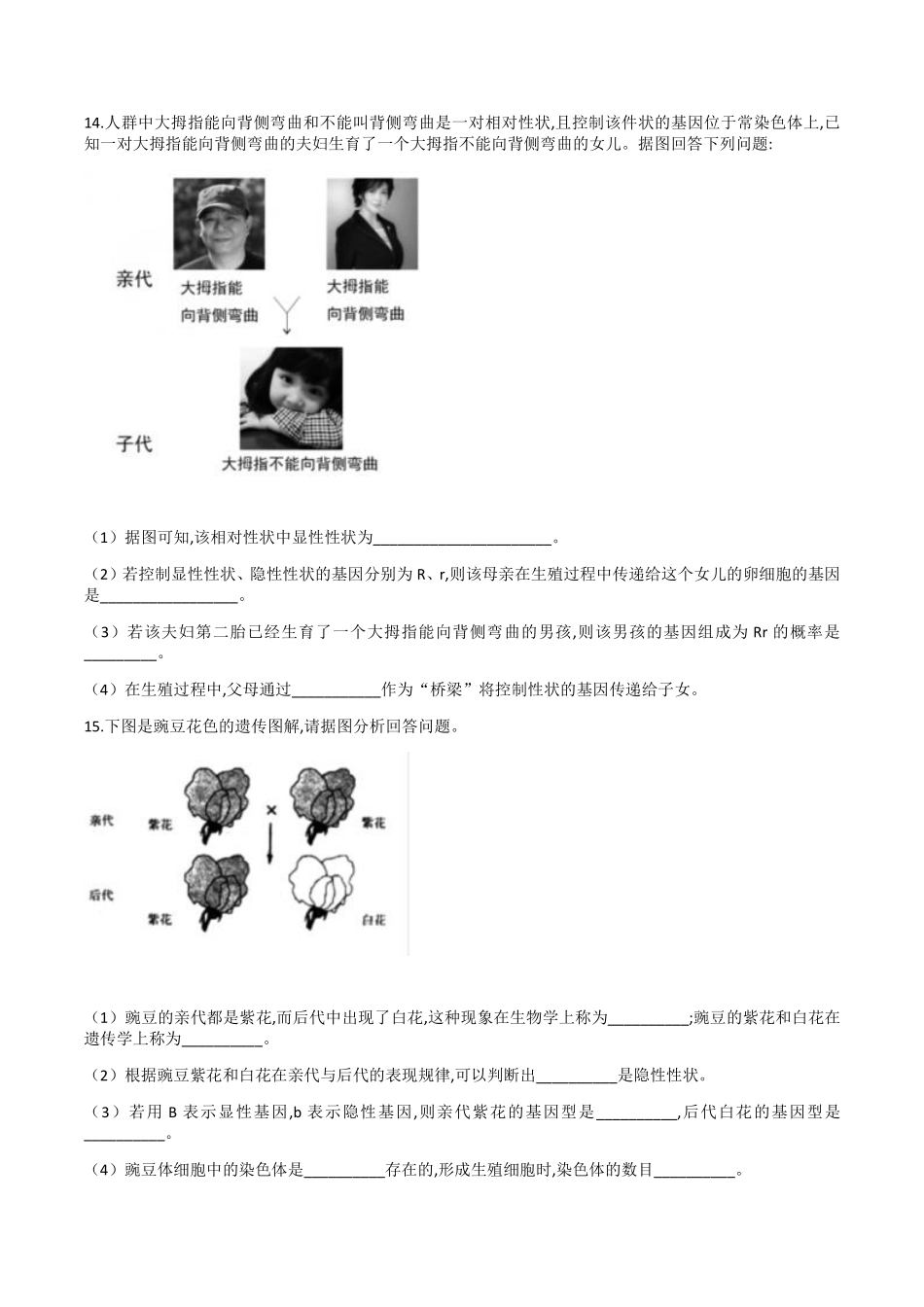 6.20.3性状遗传有一定的规律性_八年级上册_八年级上册.pdf_第3页