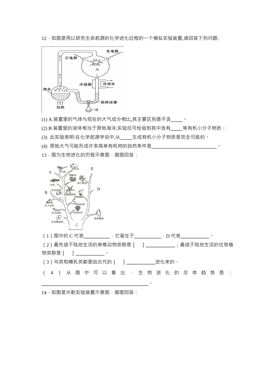 中考生物会考复习专项训练27：生物的进化（基础版，含详解，Word版）.docx_第3页