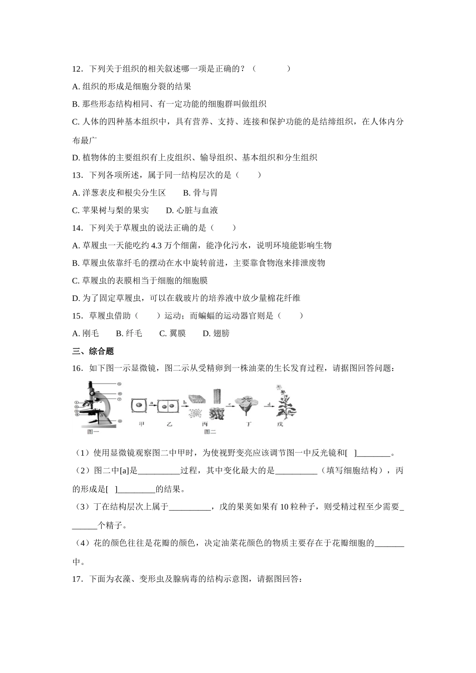 中考生物会考复习专项训练4：细胞怎样构成生物体（基础版，含详解）.docx_第3页