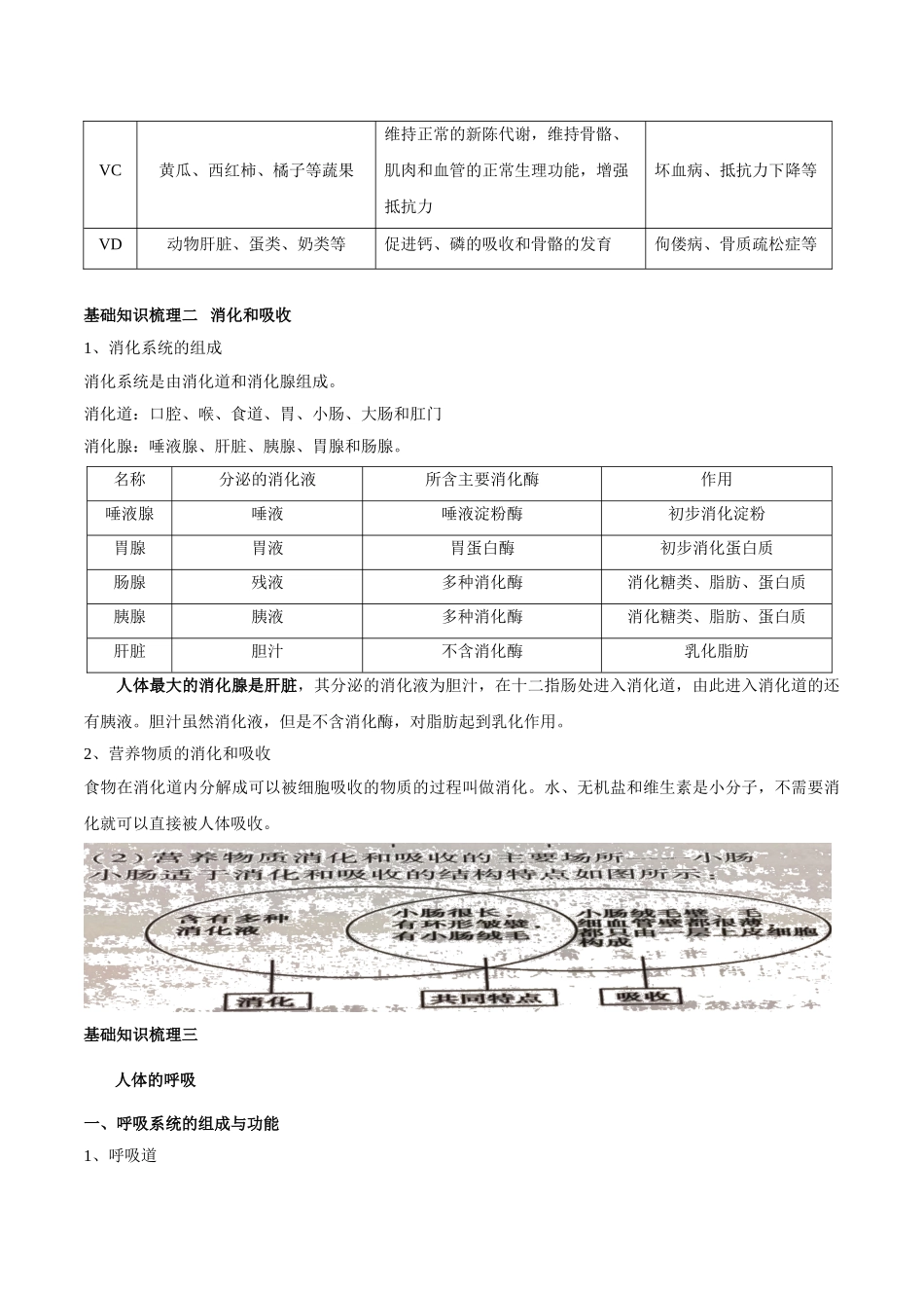 专题五 人体的营养和呼吸-2023年中考生物核心考点必背合集.doc_第2页