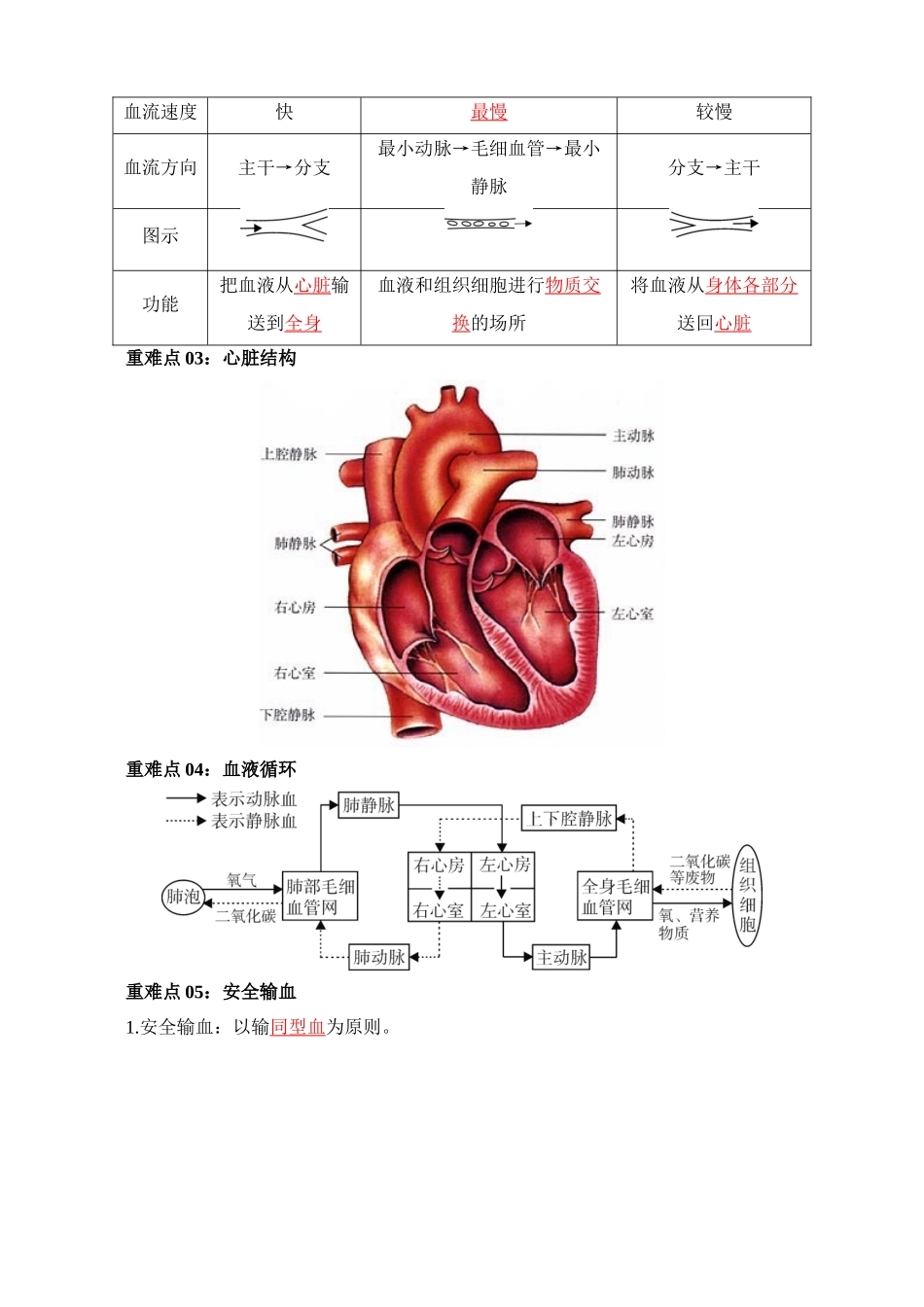 重难点07 人体内物质的运输和废物的排出_中考生物.docx_第2页