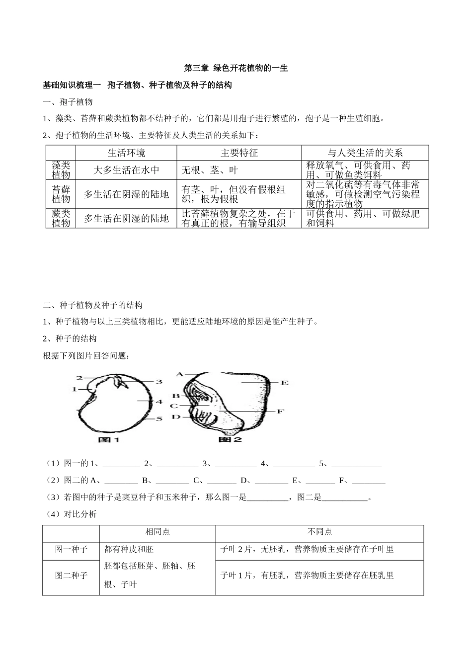 专题三 绿色开花植物的一生-2023年中考生物核心考点必背合集.doc_第1页