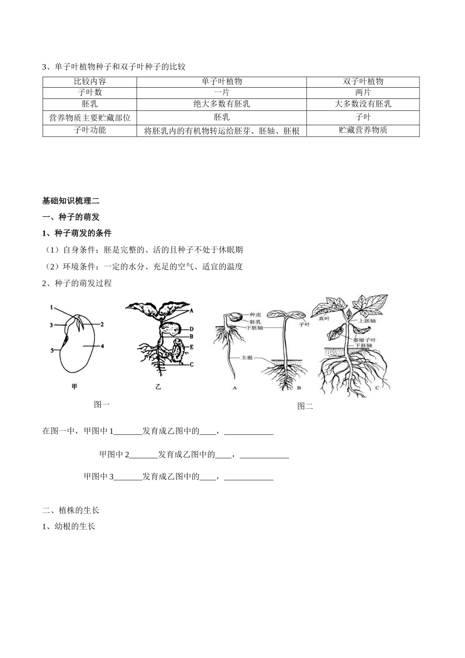 专题三 绿色开花植物的一生-2023年中考生物核心考点必背合集.doc_第2页