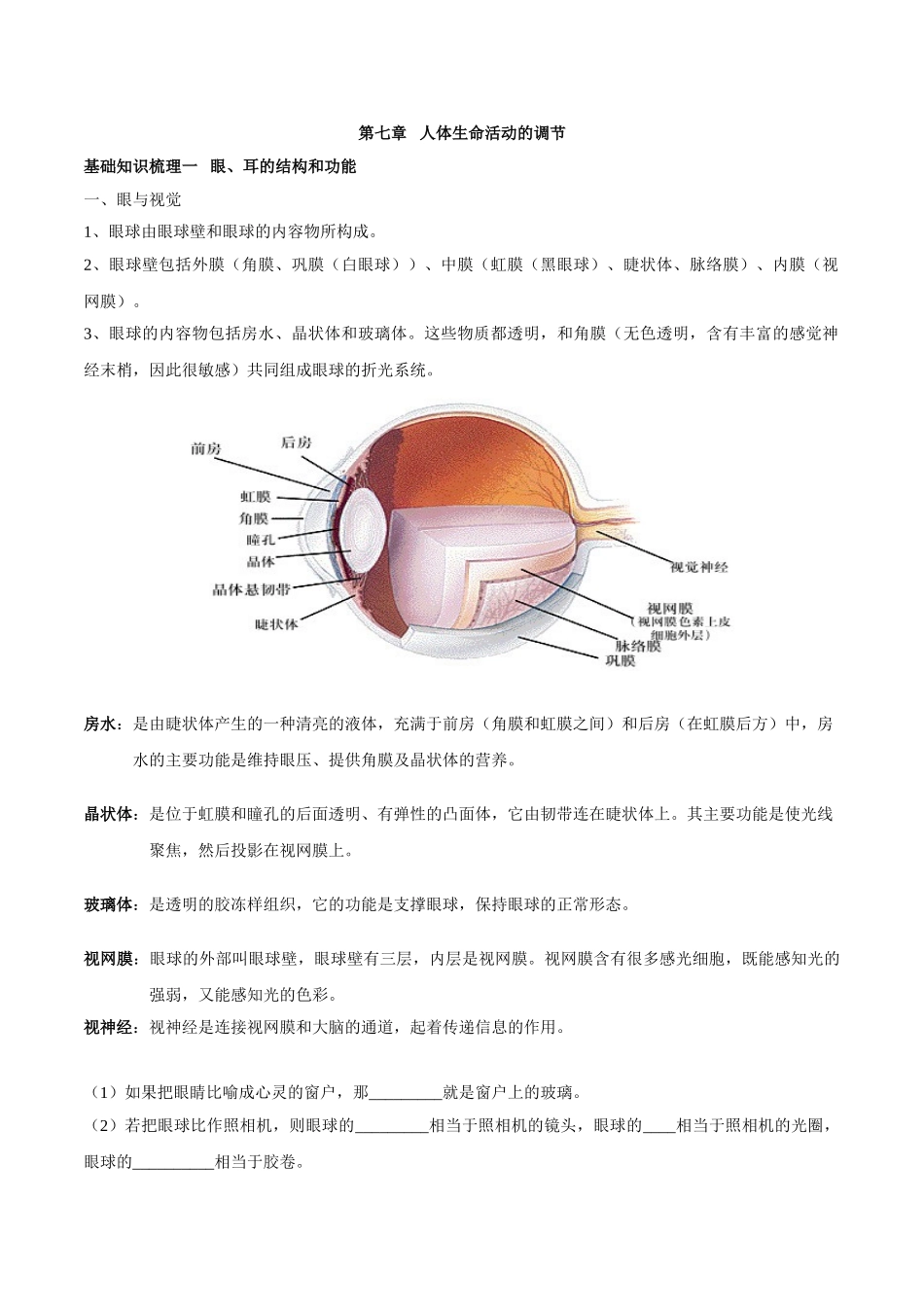 专题七 人体生命活动的调节-2023年中考生物核心考点必背合集.doc_第1页