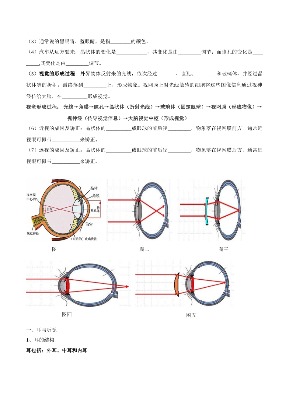 专题七 人体生命活动的调节-2023年中考生物核心考点必背合集.doc_第2页