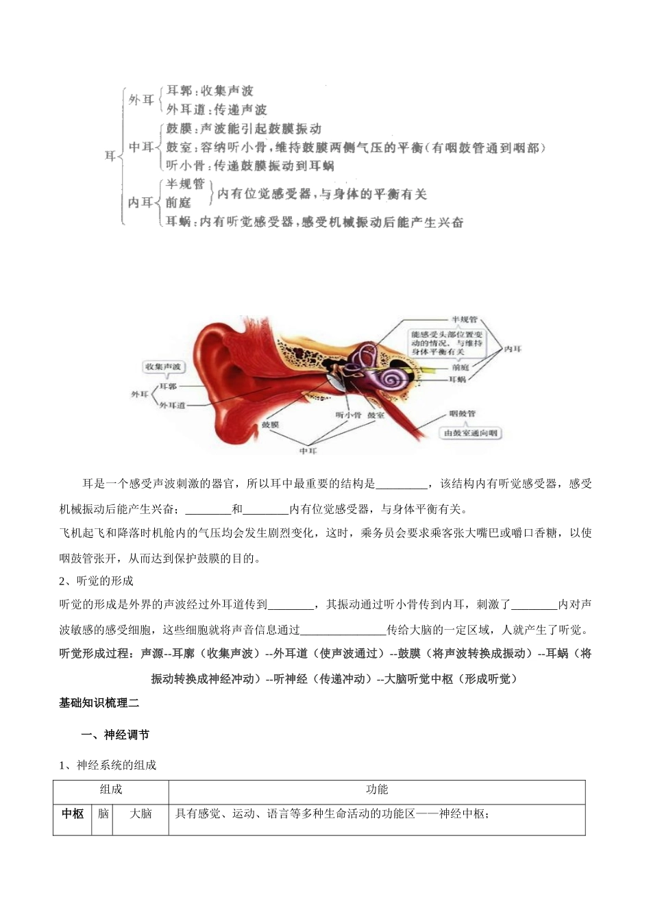 专题七 人体生命活动的调节-2023年中考生物核心考点必背合集.doc_第3页