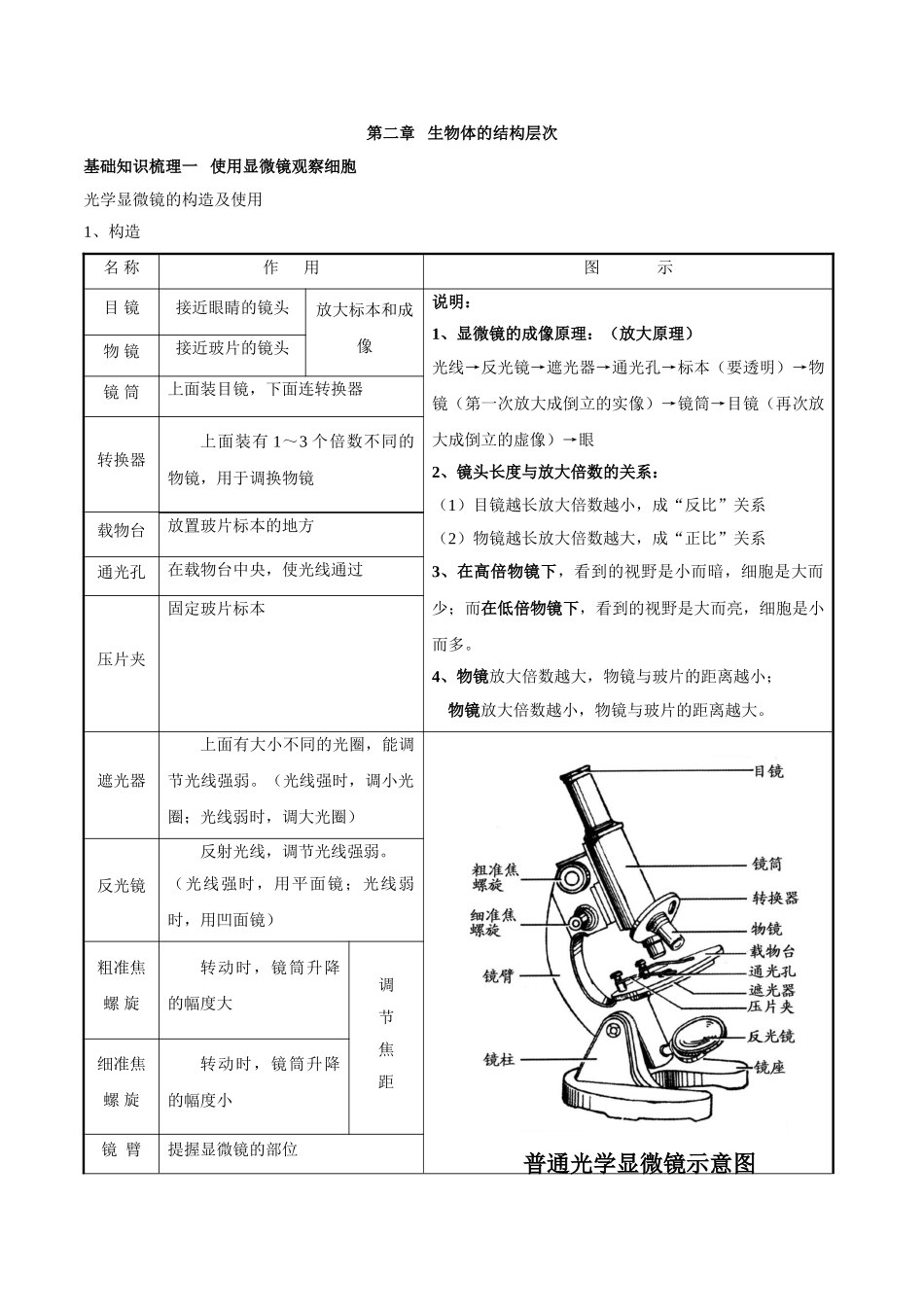 专题二 生物体的结构层次-2023年中考生物核心考点必背合集.doc_第1页