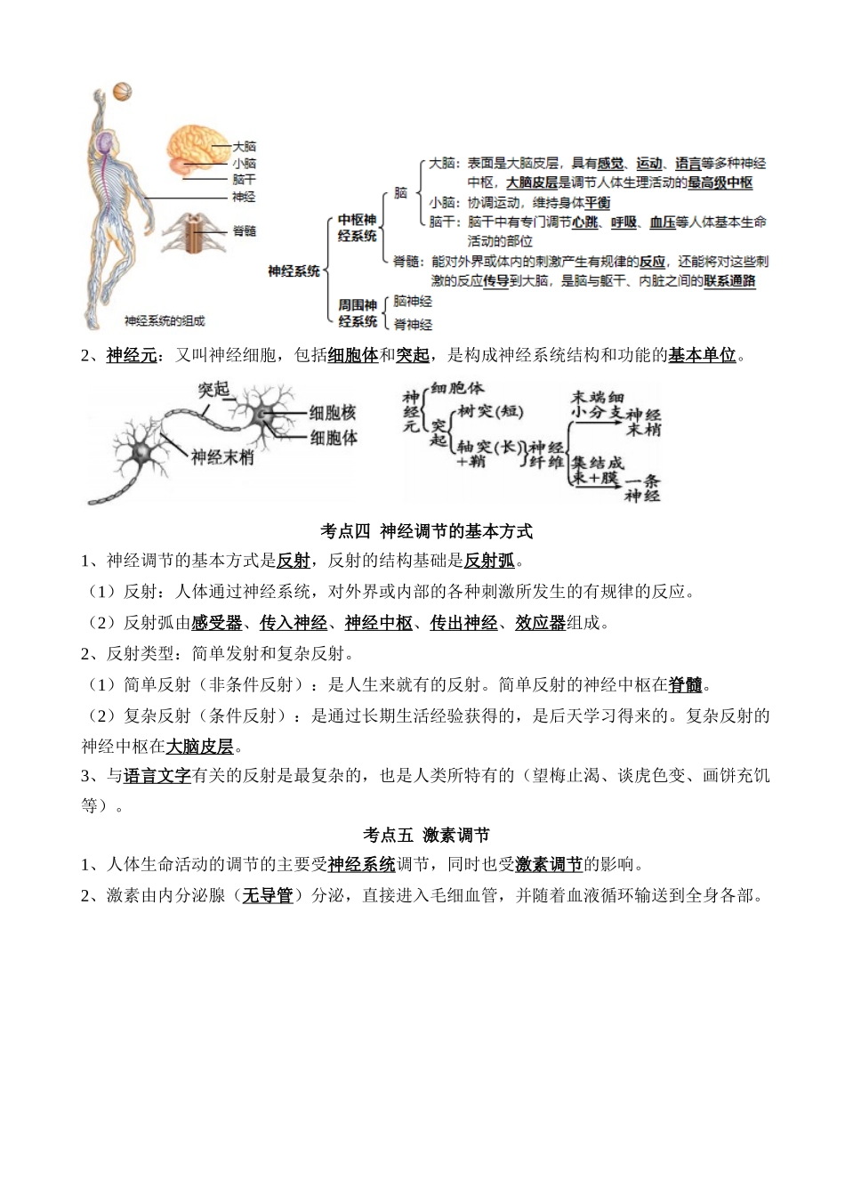 清单07 人体生命活动的调节（5大考点+6大高频命题点）_中考生物.docx_第3页