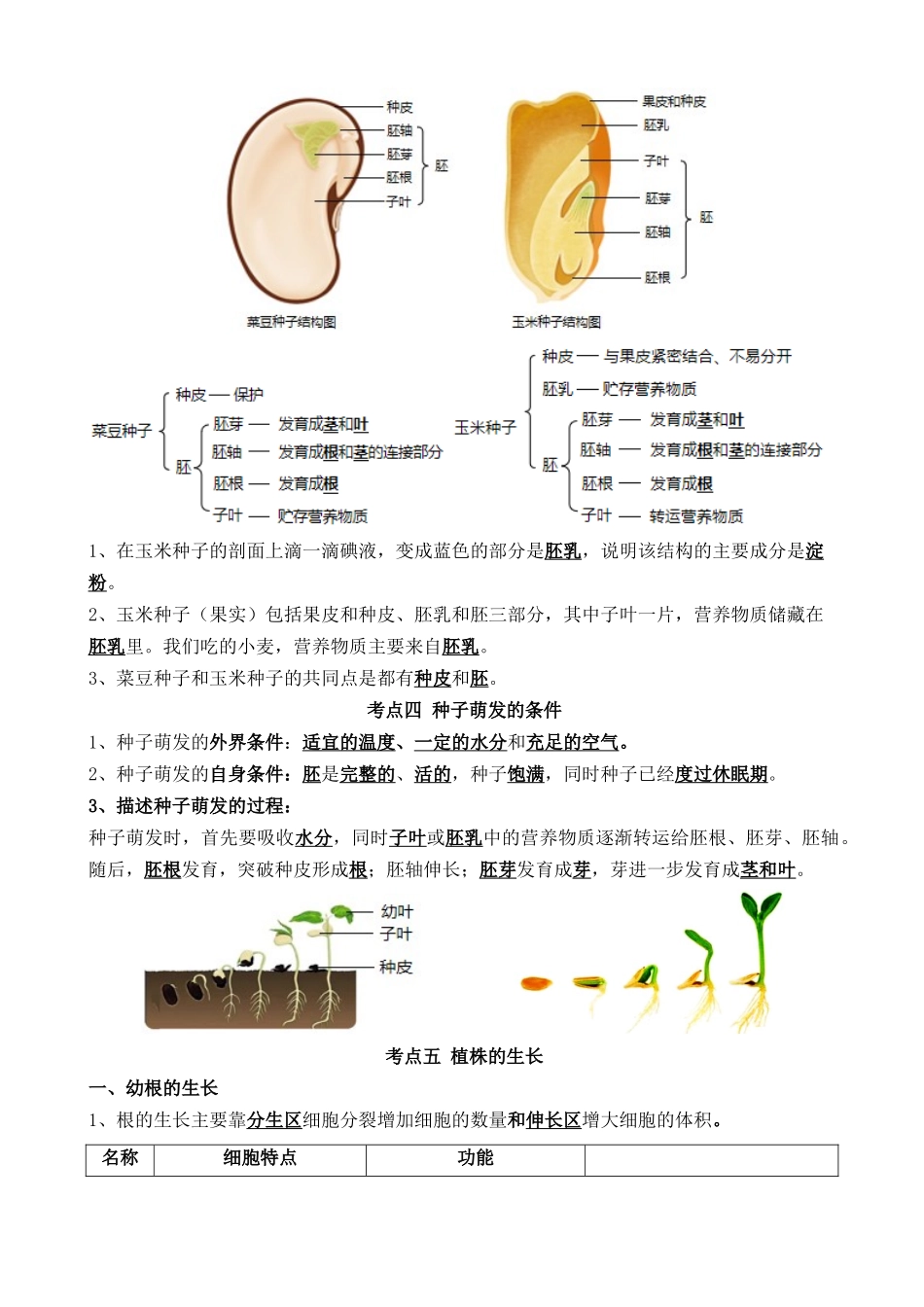 清单03 生物圈中有哪些绿色植物+被子植物的一生（6大考点+6大高频命题点）_中考生物.docx_第2页