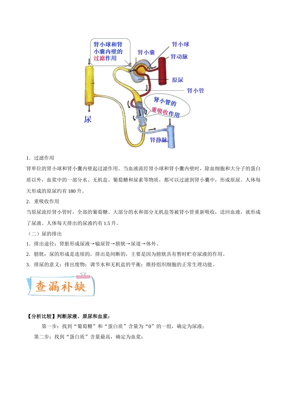 考点14 人体内的废物排入环境-备战2022年中考生物一轮复习考点微专题(31380248).doc_第3页