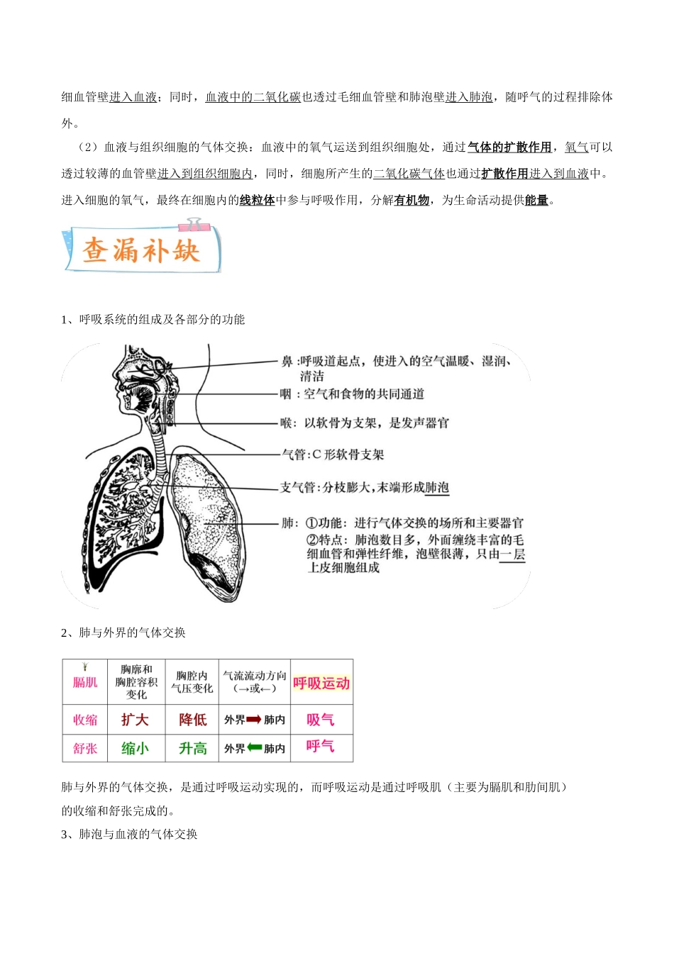 考点12 人体的呼吸-备战2022年中考生物一轮复习考点微专题(31264909).doc_第3页