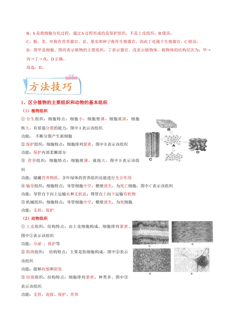 考点03 细胞怎样构成生物体-备战2022年中考生物一轮复习考点微专题(30738733).doc_第2页