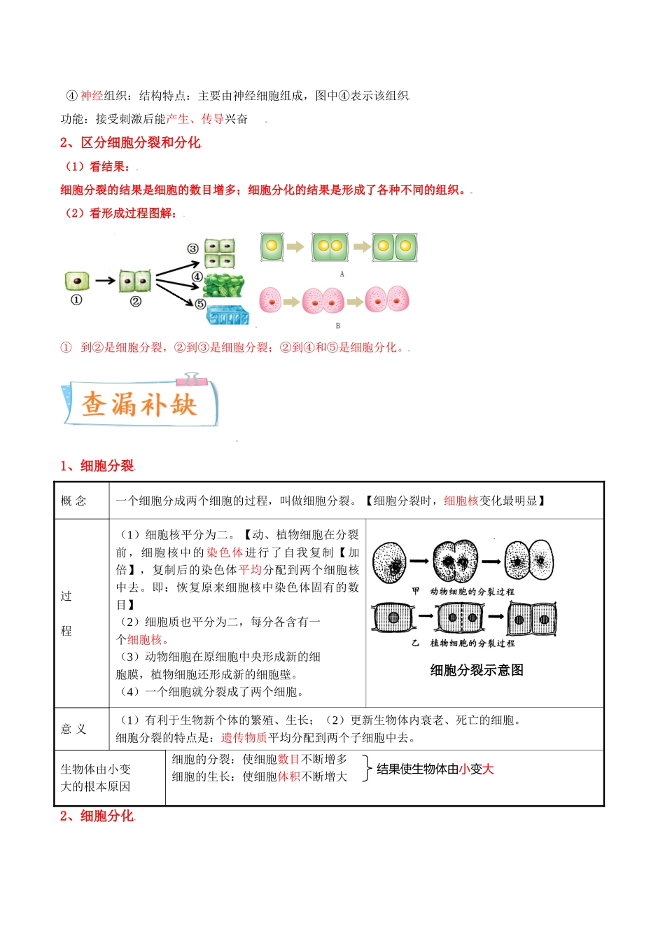 考点03 细胞怎样构成生物体-备战2022年中考生物一轮复习考点微专题(30738733).doc_第3页