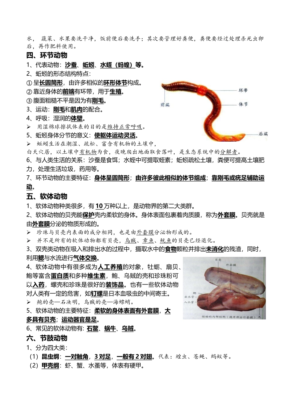 09+动物的主要类群+动物的运动和行为-2022年中考生物一轮复习核心考点必背知识清单.docx_第2页