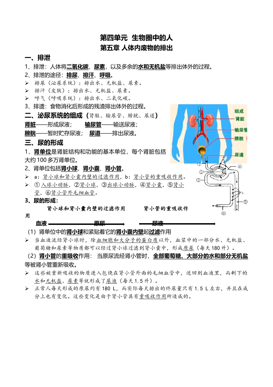 08人体内废物的排出+人体生命活动的调节-2022中考一轮复习核心考点必背知识清单.docx_第1页