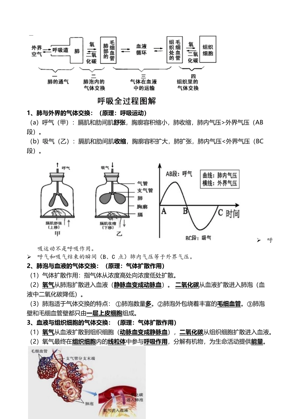 07+人体的呼吸+人体内物质的运输-2022年中考生物一轮复习核心考点必背知识清单.docx_第2页