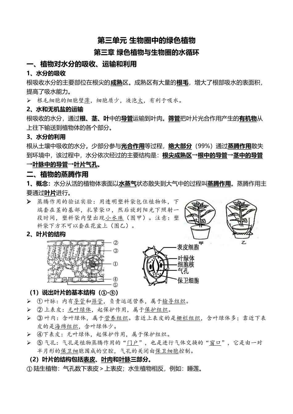 05+绿色植物的三大作用-2022年中考生物一轮复习核心考点必背知识清单.docx_第1页