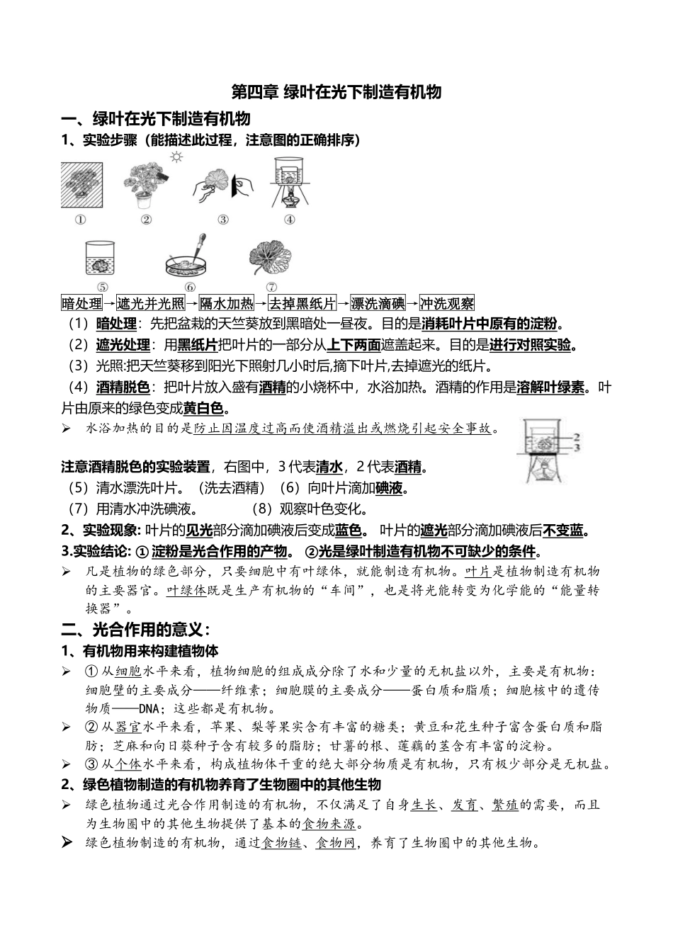 05+绿色植物的三大作用-2022年中考生物一轮复习核心考点必背知识清单.docx_第3页