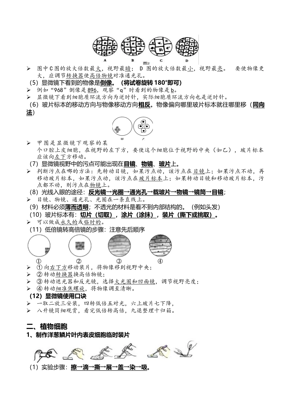 02+细胞是生命活动的基本单位-2022年中考生物一轮复习核心考点必背知识清单.docx_第2页