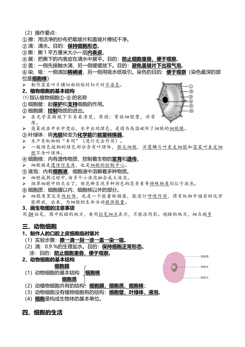 02+细胞是生命活动的基本单位-2022年中考生物一轮复习核心考点必背知识清单.docx_第3页