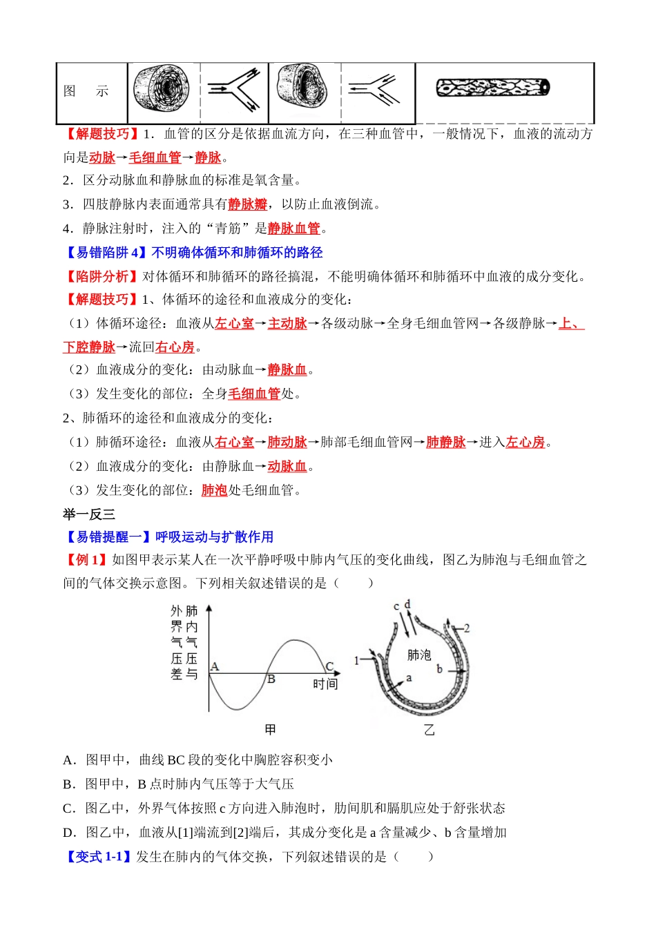 易错点07 人的呼吸、循环和排泄_中考生物.docx_第2页