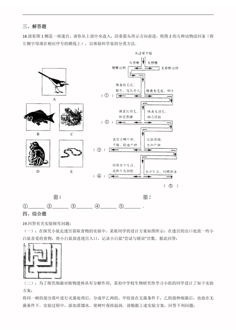 北师大版八年级上册生物 第十六章 动物的行为 单元测试（含解析）_八年级上册_八年级上册.pdf_第3页