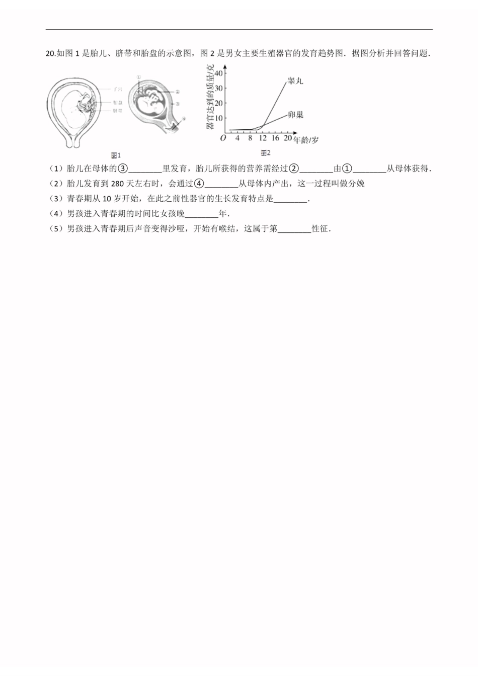 北师大版八年级上册生物 第十九章 生物的生殖和发育 单元测试（含解析）_八年级上册_八年级上册.pdf_第3页