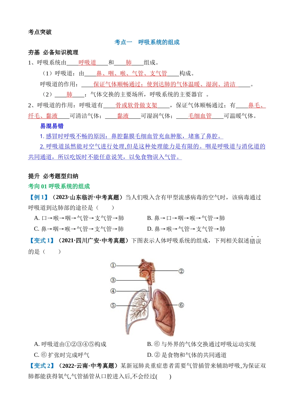 专题11 人体的呼吸（讲义）_中考生物.docx_第2页