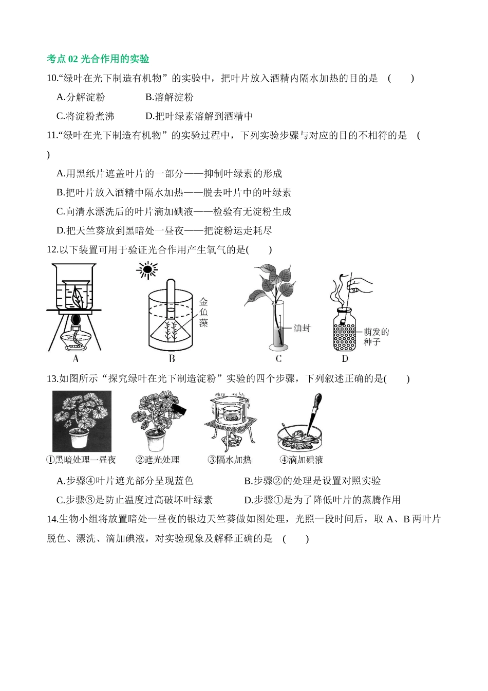 专题07 绿色植物的光合作用（练习）_中考生物.docx_第3页