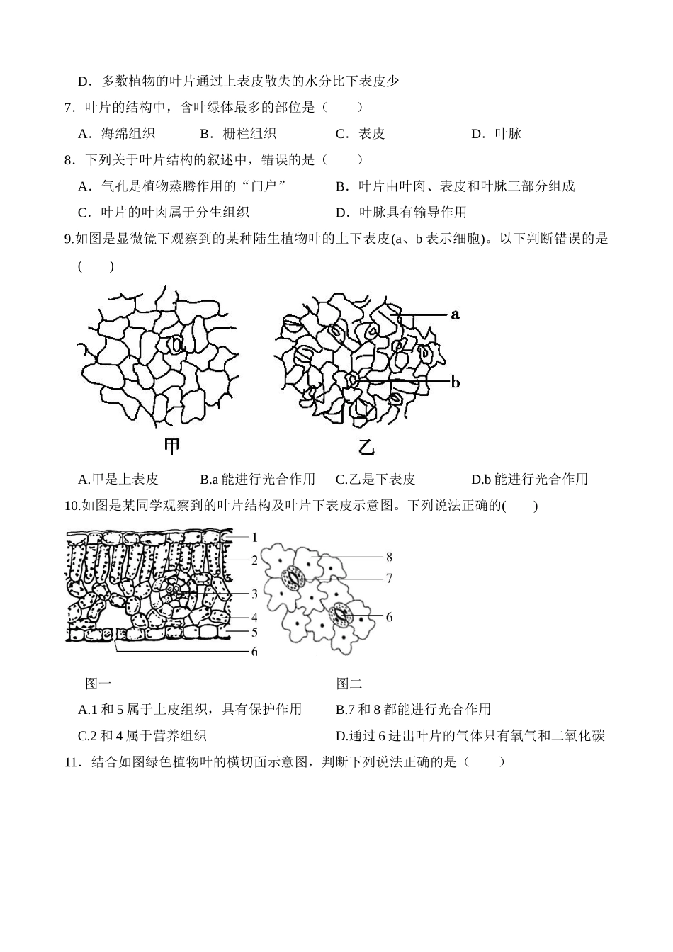 专题06 绿色植物与生物圈的水循环（练习）_中考生物.docx_第2页