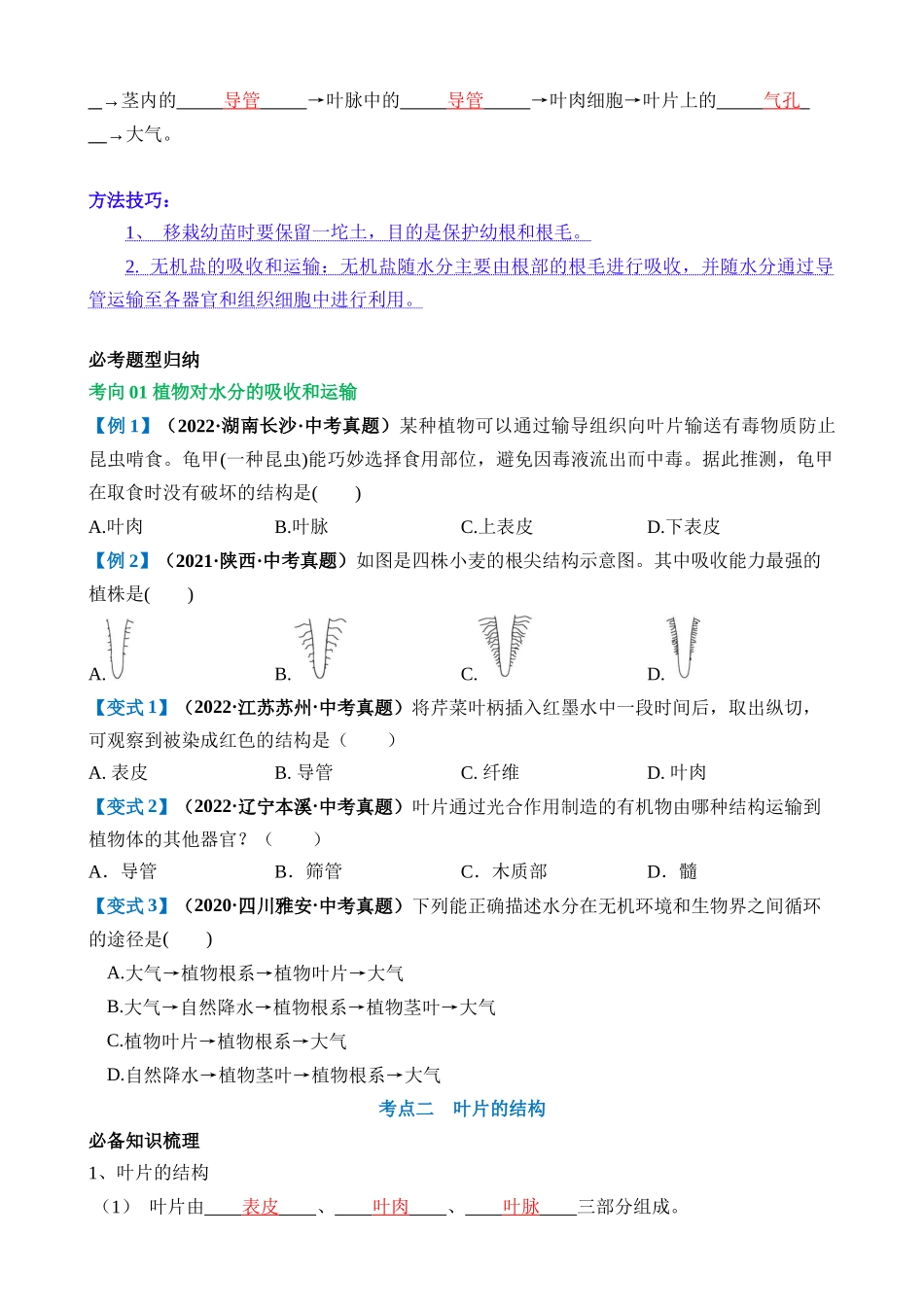 专题06 绿色植物与生物圈的水循环（讲义）_中考生物.docx_第2页