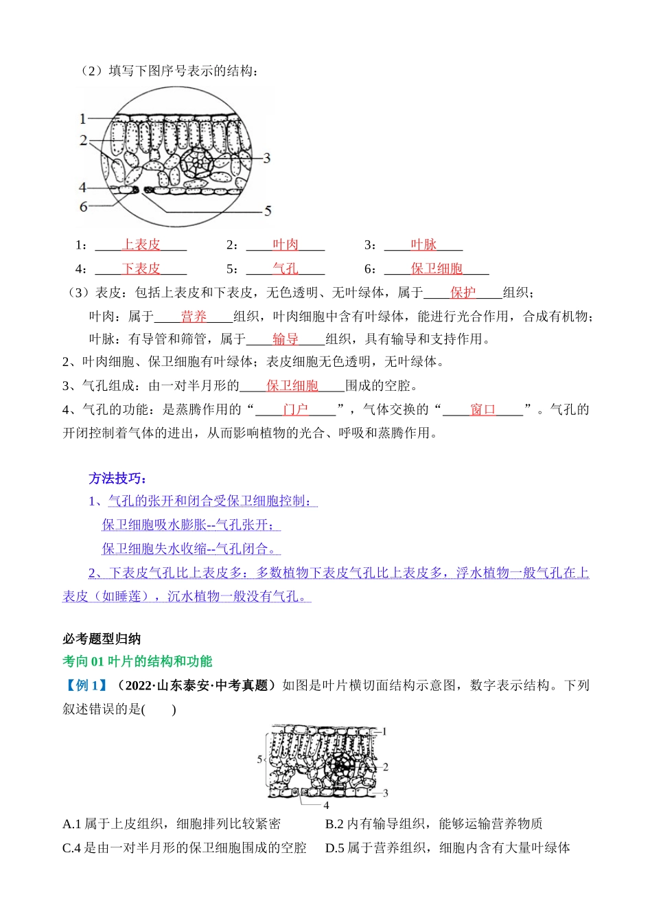 专题06 绿色植物与生物圈的水循环（讲义）_中考生物.docx_第3页